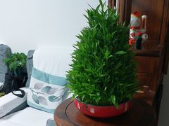 -静沐人生养生馆(佳宁娜分店)