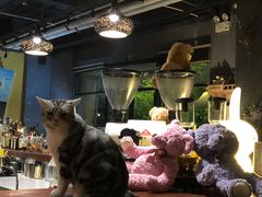 -咖法森林·咖啡  酒吧(天河店)