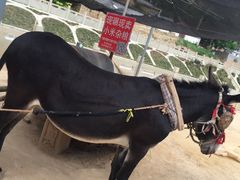 -梁家河村红色旅游区