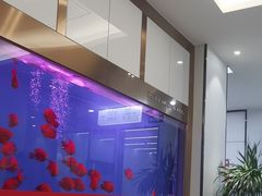 -牙博士口腔品牌连锁(杨浦店)