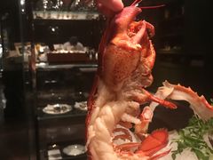 -牛排坊(成都群光君悦酒店)