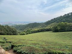 -敬亭山风景名胜区