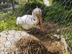 -石家庄市动物园