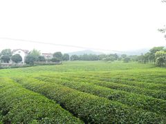 -敬亭山风景名胜区