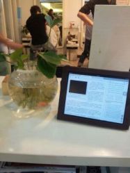 2-DRG达人馆造型