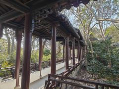 -上海佘山国家森林公园天马山园