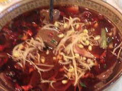 毛血旺-庐州太太(双岗店)