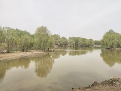 -西安浐灞国家湿地公园