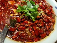 毛血旺-辛香汇(飞洲店)