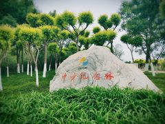 -大港湿地公园
