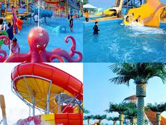 -秦皇岛乐岛海洋王国