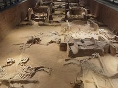 -洛阳周王城天子驾六博物馆