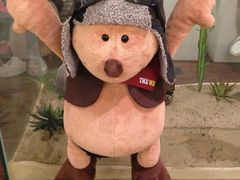 android_upload_pic-济州岛泰迪熊博物馆