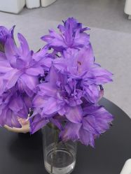 -JNK皮肤管理中心