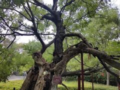 -云龙湖旅游景区