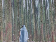 -山王坪喀斯特国家生态公园