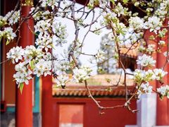 -故宫博物院(故宫)