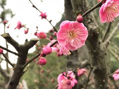 -黄公望隐居地