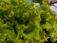 -彤德莱火锅(乐陵路店)