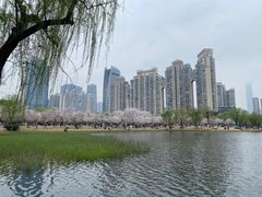 -西北湖绿化广场