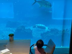 -涛·海底餐厅·美人鱼·自助餐·海底隧道(三亚海棠湾洲际度假酒店)