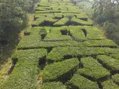 -南戴河国际娱乐中心