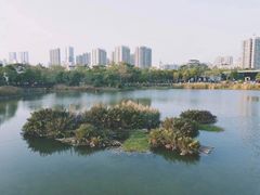 -福田红树林生态公园