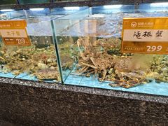 -国惠大酒楼(宝龙店)