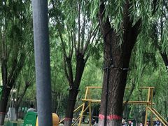 -北戴河集发农业梦想王国