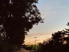 -大兴滨河森林公园