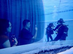 -上海潜殿潜水中心