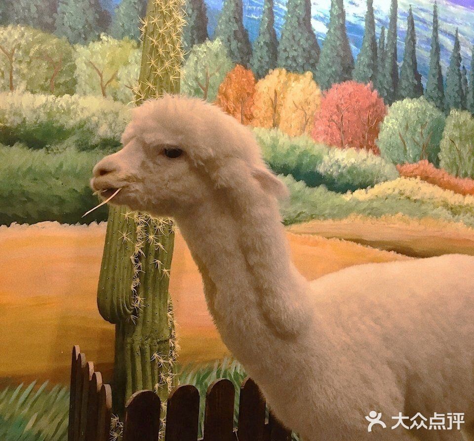 [加油]超可爱的室内动物园！