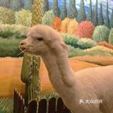 [加油]超可爱的室内动物园！