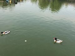 -无锡动物园·太湖欢乐园