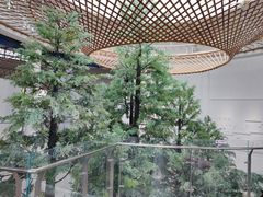 -同里国家湿地公园