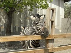 -水上乐园·欢乐世界