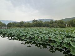 -北坞公园