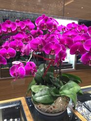 -周大福荟馆JEWELRIA(宝安南路华润万象城店)