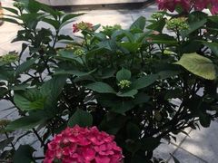 -湘子庙