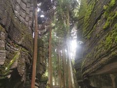 -梭布垭石林景区