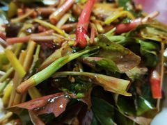 折耳根-韩妹鱼庄·泸定老字号(泸定店)