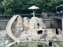 -石家庄市动物园