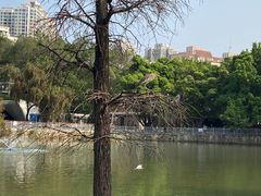 -人民公园(罗湖区)