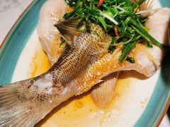 清蒸鲈鱼-大榕树下顺德菜(融创茂店)