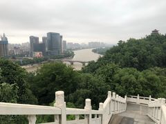 -云碧峰国家森林公园