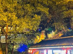 -巴倒烫陆派重庆火锅(南山店)