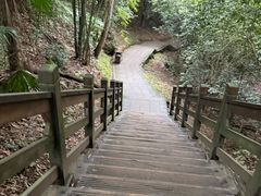-凤栖山