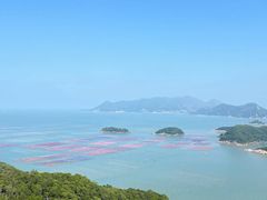 -花竹村
