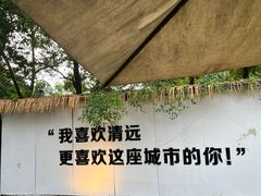 -芭厘农庄老字号·清远鸡