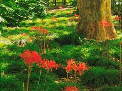 -共青国家森林公园-售票处